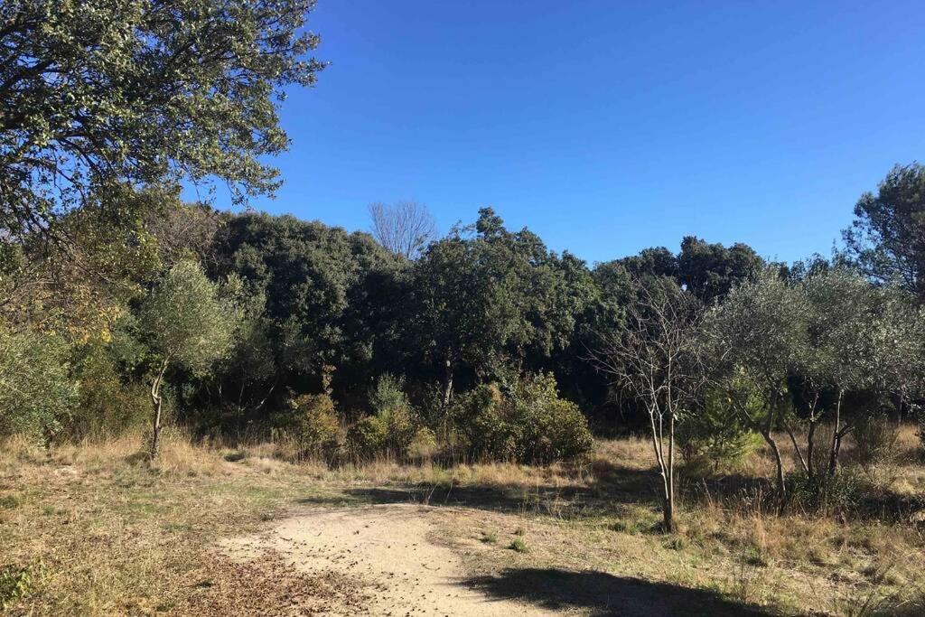 Charmant Mazet Nîmes Exteriör bild