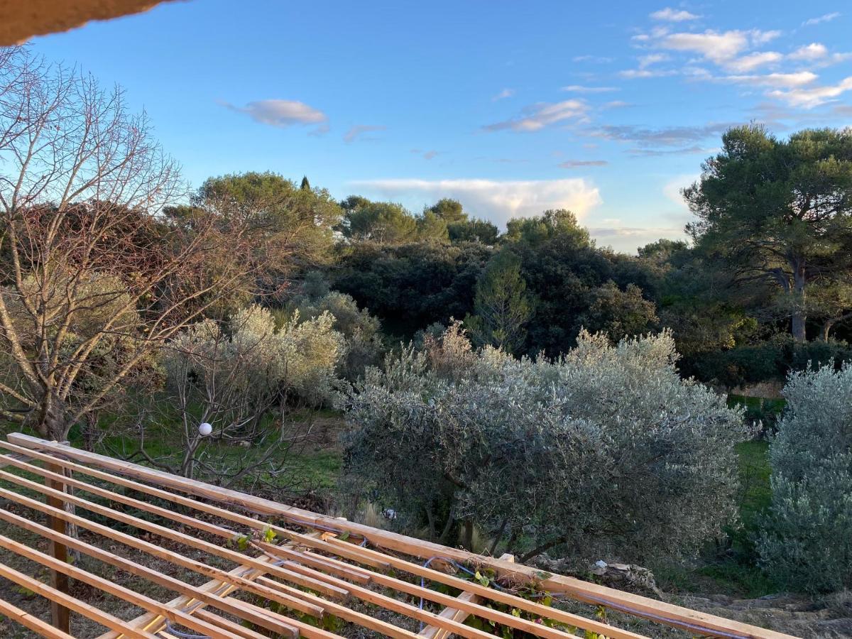 Charmant Mazet Nîmes Exteriör bild